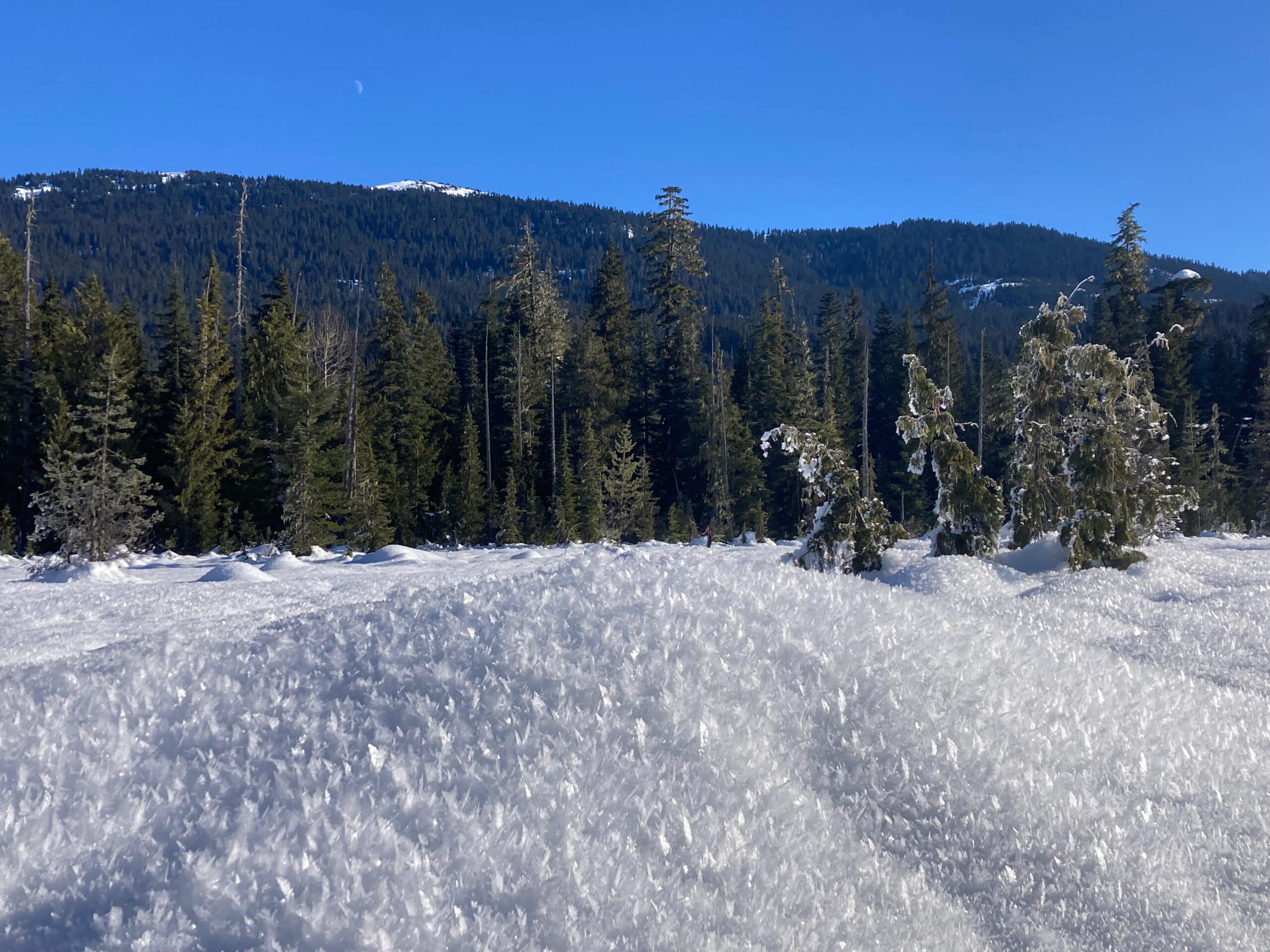 5 façons de choisir (et de tenir) ses résolutions cette année